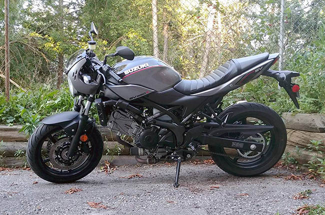 Sv650 deals beginner bike